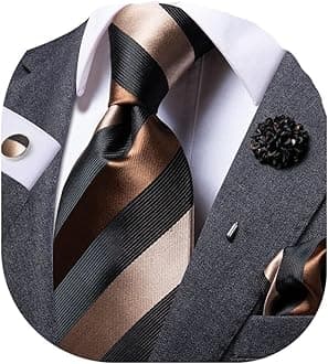 Mens Tie and Lapel Pin Paisley Striped Floral Necktie for Men Pocket Square Cufflinks Wedding Party