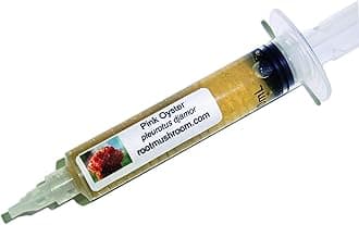 Root Mushroom Farm-Mushroom Liquid Cultures/Pink Oyster(Pleurotus djamor)