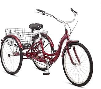 Schwinn Meridian