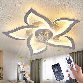 Ceiling Fans with Lights