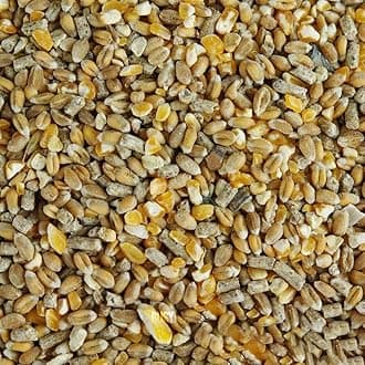 BusyBeaks Chicken Corn Extra | Premium Grade Poultry Feed | Nutritious Oyster Shell, Layers Pellets, Fibre Wheat & Split Maize | High Energy, Protein-Rich Food Mix | Perfect Year-Round Seed (15kg)