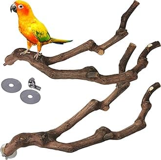 kathson Natural Parrot Perch Bird Stand Pole Wild Grape Stick Paw Grinding Fork Parakeet Climbing Standing Branches Toy Chewable Cage Accessories for Small Budgies Cockatiels Lovebirds 2PCS