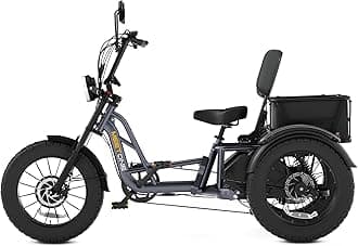 Tour 2400W Dual Motor Electric Tricycle for Adults, 48V 30AH Dual Battery Fat Tire Electric Trike, 25MPH 130Miles Full Suspension AWD Etrike (with an Extra Battery & Upgraded Folding Seat)