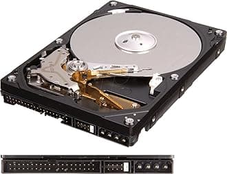 WD Blue 250 GB Desktop Hard Drive: 3.5 Inch, 7200 RPM, PATA, 8 MB Cache - WD2500AAJB