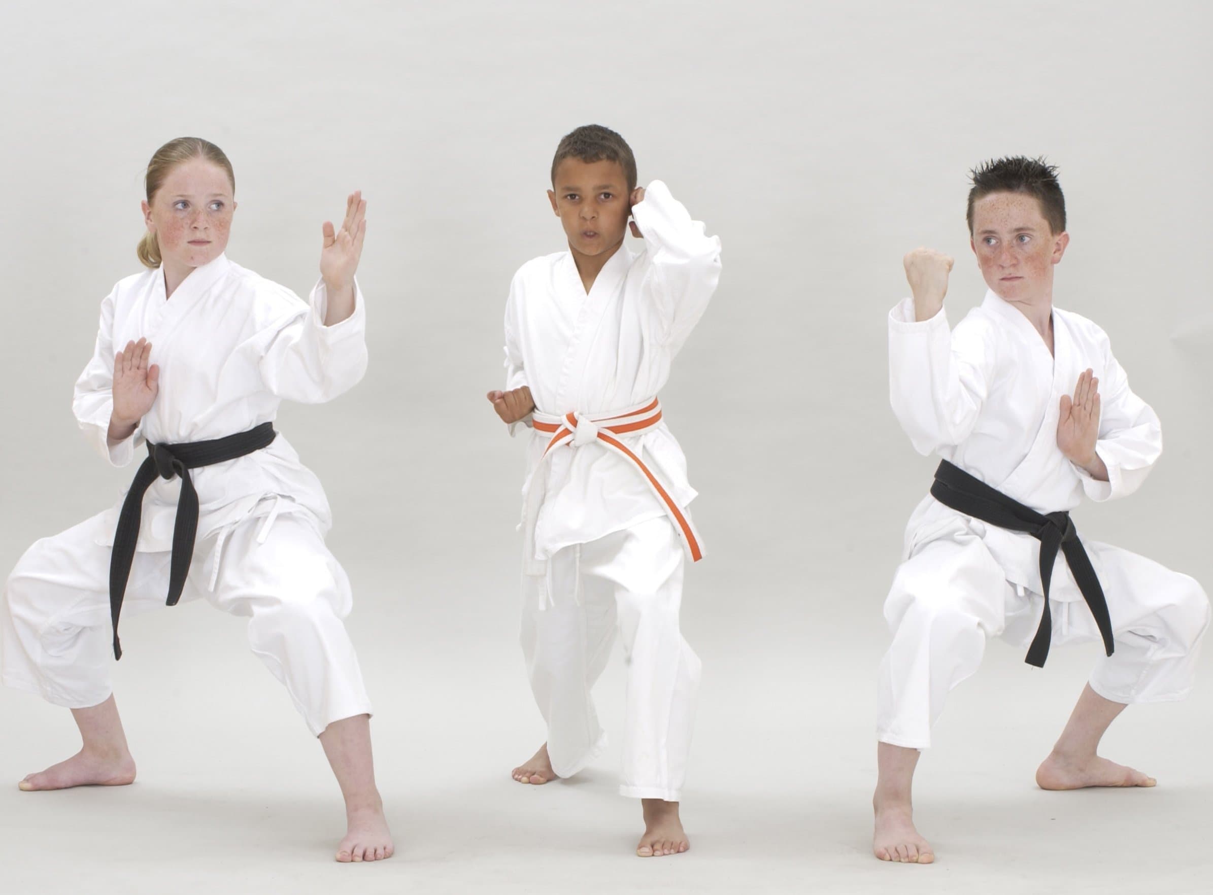 iLoxin Karate suit (white) (150cms)