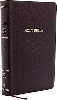 KJV Holy Bible, Personal Size Giant Print Reference Bible, Burgundy Bonded Leather, Thumb Indexed, 43,000 Cross References, Red Letter, Comfort Print: King James Version