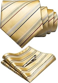 RBOCOTT Silk Stripe Plaid Tie and Pocket Square with Tie Clip Sets for Men