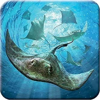 Cork Coaster - Sting Rays from Deluxebase. Drinks Coaster with Lenticular 3D Animal Image. Non-Slip Protective Table Drink Mat for Home Decor and Decorative Accessories.