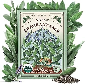 Seedboy Organic Sage Seeds for Planting Indoor and Outdoor, Non-GMO and USDA Certified Herb Seed Packet for Hydroponic Garden Indoor or Planting Outdoors (Broad Leaf Sage)