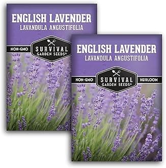 English Lavender Seeds for Planting (Lavandula angustifolia) – Edible Culinary Herb with Fragrant Blooms, Hardy Perennial for Outdoor or Indoor Gardens – Survival Garden Seeds (2 Packs)