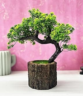 Dekorly Plastic Small Artificial Plant Bonsai Tree Fake Plant Potted House Plants Japanese Pine Bonsai Plant Faux Bonsai For Home Indoor Decoration Office(Wooden Potted Plants,Design-H)