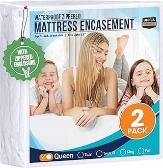 Zippered Mattress Encasement Queen - 100% Waterproof and Bed Bug Proof Mattress Protector - Absorbent, Six-Sided Mattress Cover (Pack of 2)