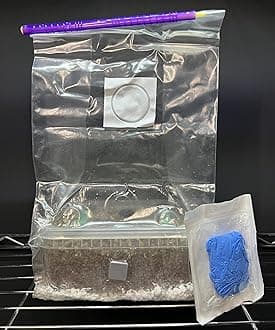 Mushroom Grow Kit, 1200ml Capacity, Simplici-kit MycoBox XL Dutch Style