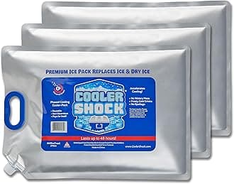Cooler Shock - Reusable Ice Pack with Handle: Cooler Size 3 Pack