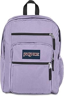 Laptop Backpack - Computer Bag with 2 Compartments, Ergonomic Shoulder Straps, 15” Laptop Sleeve, Haul Handle - Pastel Lilac