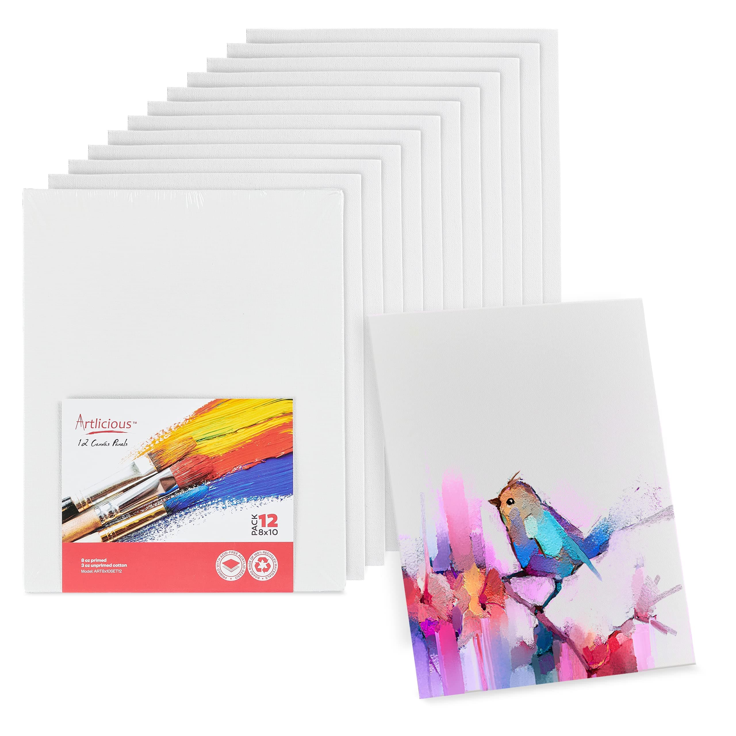 8x10 12 Pack Canvas Panels