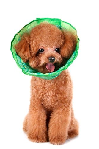 Premium Plush E-Collar Cone For Dogs & Cats, Elizabethan Collar is Soft and Durable for Ultimate Bite Not Protection During Recovery, Comes in Every Size, Choose Blue, Pink, Green Plaid, Guaranteed