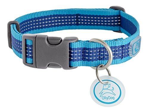 OllyDog MTN Reflective Collar, Medium, Aloha Blue