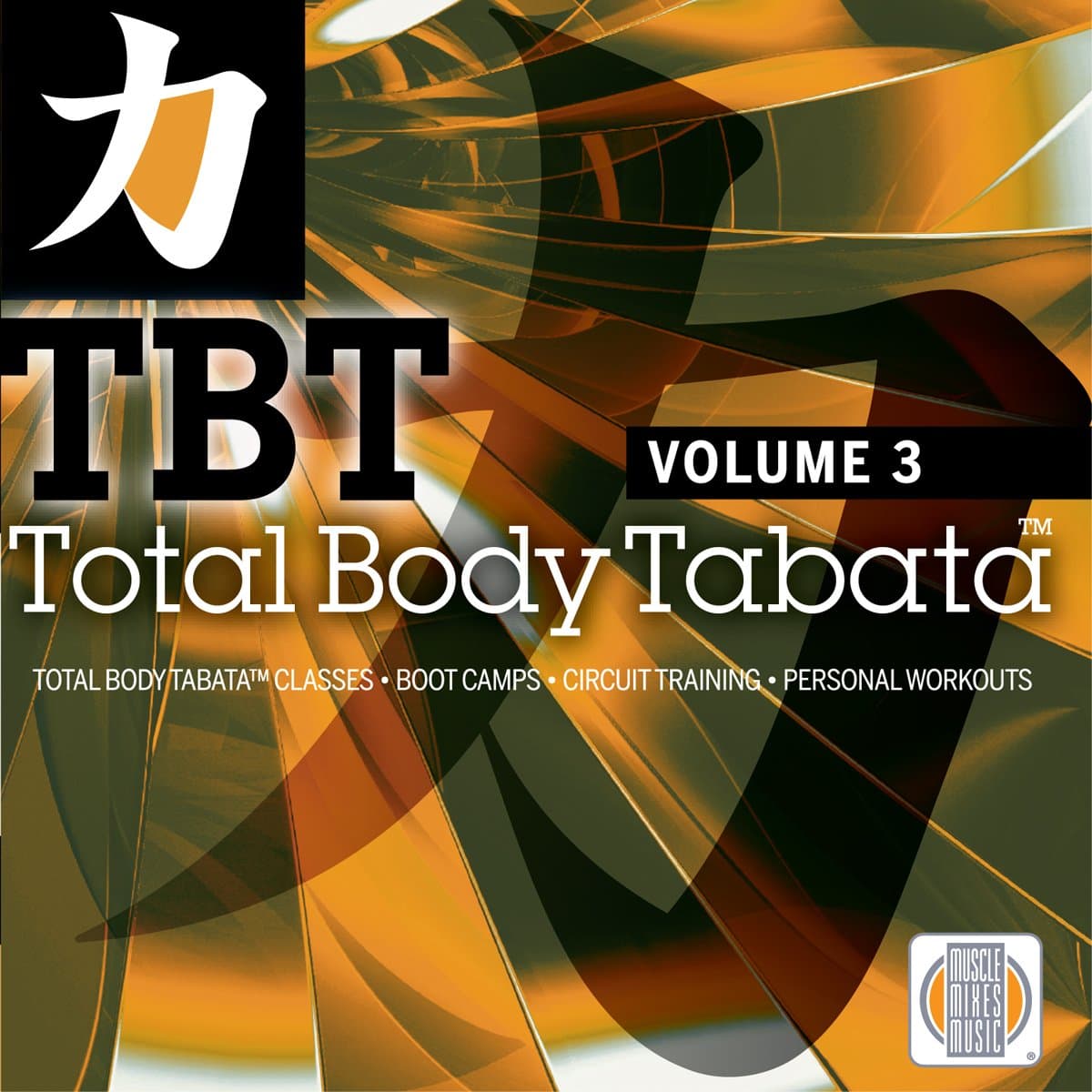 Total Body Tabata Volume 3