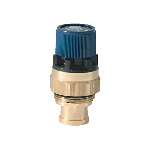 SYR Safety valve: 6 bar